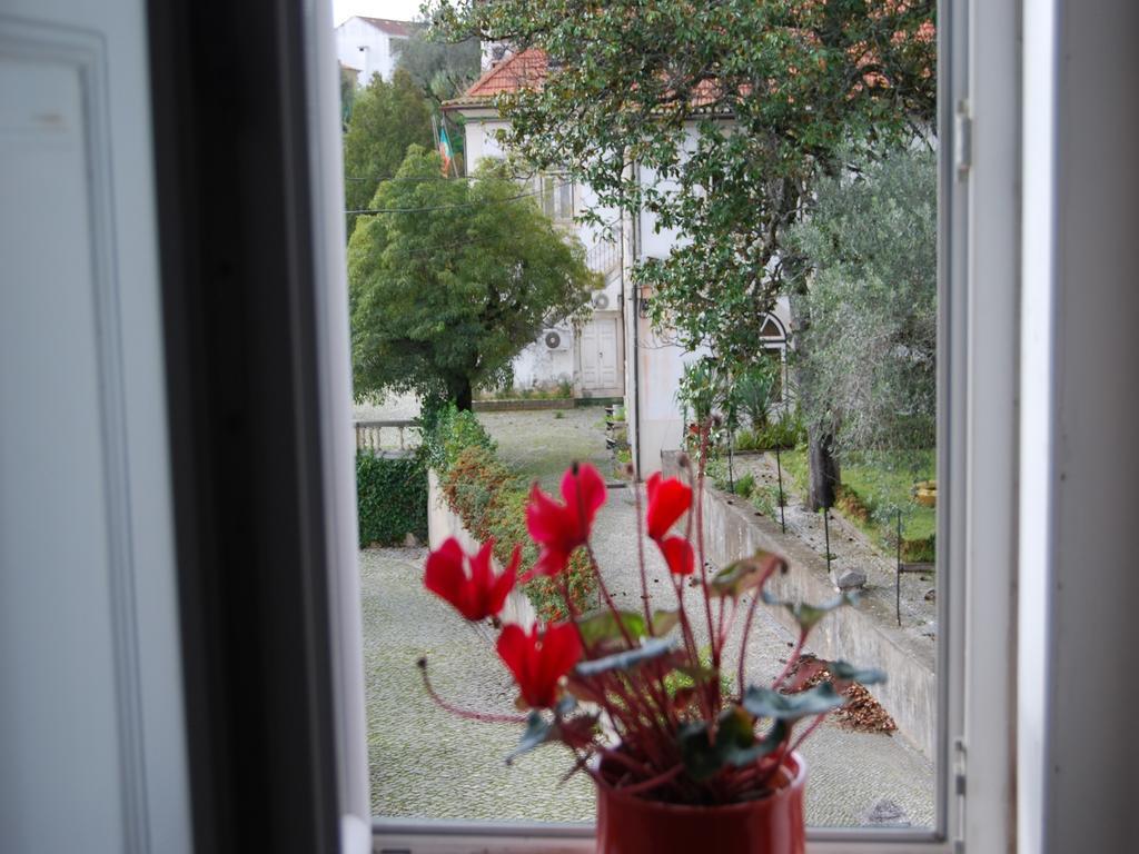 Adore Portugal Coimbra Guest House Luaran gambar